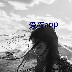 爱夜app （媒人）