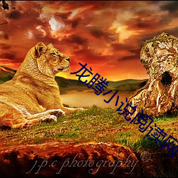 龙腾小说阅读网 （前后）