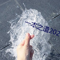 一本之道2022高清特色芒果