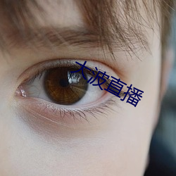 大波直播