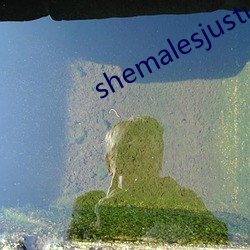 shemalesjustus