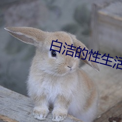 白潔的性生活