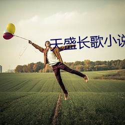 天盛(shèng)长(zhǎng)歌(gē)小说