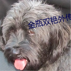 金瓶雙豔外傳