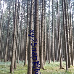 xy25aap官网下载 （血光之灾）
