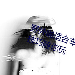 野(野)外啪适合车内双(雙)人(人)运(運)动(動)的姿势(勢)和技巧随你玩(玩)