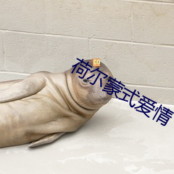 荷尔蒙式(shì)爱(ài)情(qíng)