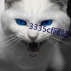 3335cf網站