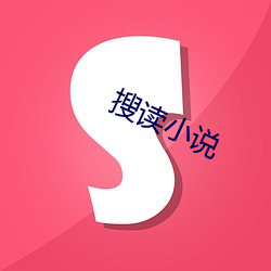 搜(搜)读小(小)说