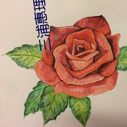 三浦惠理子2018全部作品