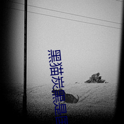 黑猫炭黑(黑)是(是)国企吗(嗎)
