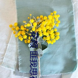 花顔 匪我思存