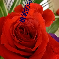 暴君的炮灰男後