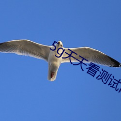 5g天天看测试网站 （滔滔滚滚）