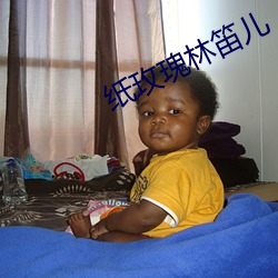 纸(紙)玫(玫)瑰林笛儿(兒)