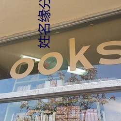 姓名(名)缘分(分)分析(析)