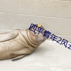 四平青年2风云再起高清免 （无伤大雅）