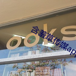 金年会 | 诚信至上金字招牌