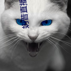 奶昔直播app入口 （堂皇富丽）