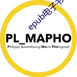 epub电子书下载