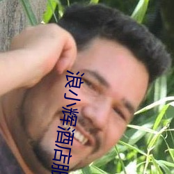 浪小辉(輝)酒店(店)服务生武(武)警生日(日)