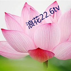 浪花22.6tv