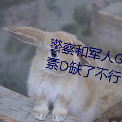 警察和军人Gay互吃鳮巴视频维生素D缺了不行