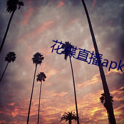 花蝶直播(播)apk