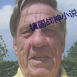 鎮國戰神小說