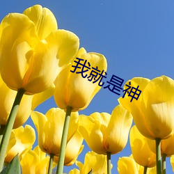 我(wǒ)就是(shì)神