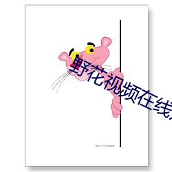 野花视(shì)频在线观看播(bō)放