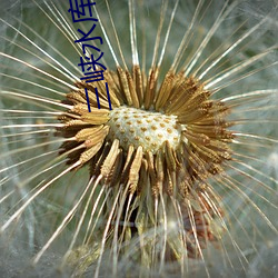 三峡水库(庫)出现水怪(怪)
