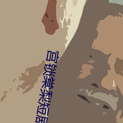 宫锁棠梨短剧全集大结局