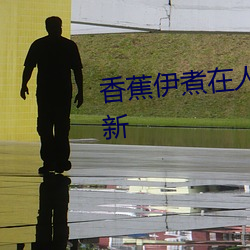 香蕉伊煮在人线国产入口:每日更新