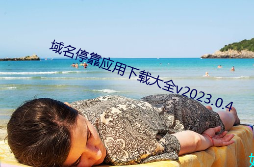 域名停靠应用下载大全v2023.0.4 （耿耿於心）