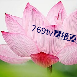 769tv青橙直播app下(xià)载