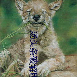 汤头条破解版无限观看