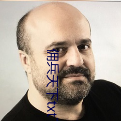 佣兵天下txt下载