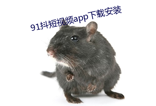 91抖短視頻app下載安裝