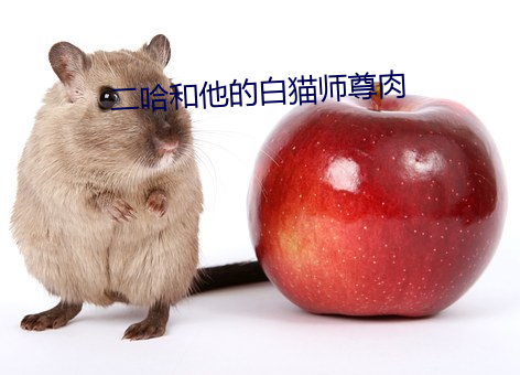 二哈和他的白猫师(shī)尊肉