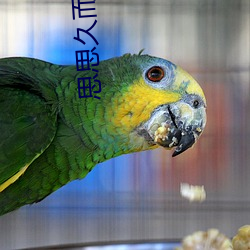 思思久而(ér)久(jiǔ)焦人