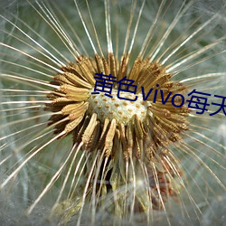 黄色vivo每天3次网页版 （亡魂丧胆）