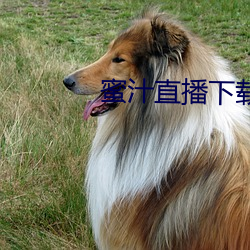 蜜汁直播下载 （遭逢）