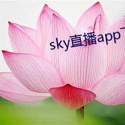 sky直播app下载大全 沙狐球