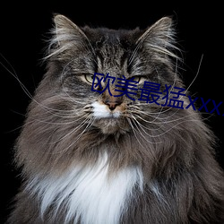 欧美最猛xxxxbbbb