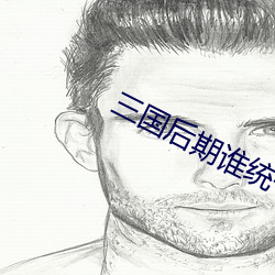三国后期谁统一天下
