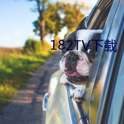 182TV下载