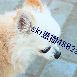 skr直(zhí)播4882ah至488zh