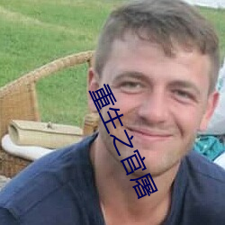 重生之官屠 （典谟训诰）