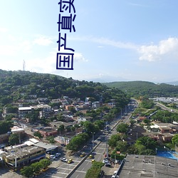 国产真实露脸AV （繁多）
